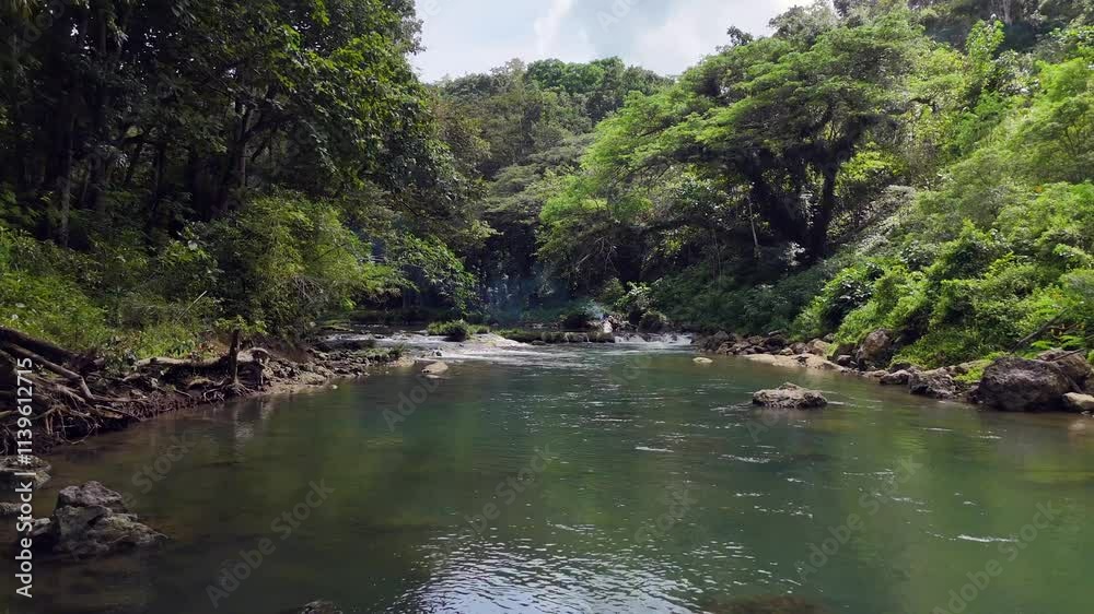 Scenic Tropical River with Cascading Waterfalls in Lush Jungle Scenic Tropical River with Cascading Waterfalls in Lush Jungle