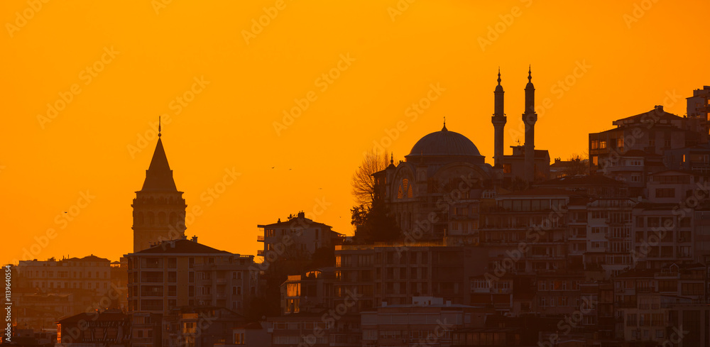 Galata Tower view with Bosphorus tour in Istanbul