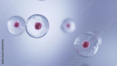 Human Cell division, cells under a microscope 3d animation.