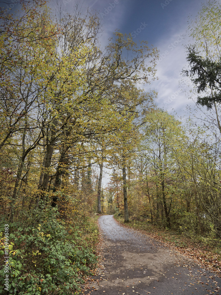 Naturpark Schönbuch, Landschaftsschutzgebiet. Naturlehrpfad vom Parkplatz Naturfreundehaus zum Alten Rain, Waldseilgarten Herrenberg und Schlossberg-plateau
Naturpark Schönbuch, Landschaftsschutzgebiet. Naturlehrpfad vom Parkplatz Naturfreundehaus zum Alten Rain, Waldseilgarten Herrenberg und Schlossberg-plateau