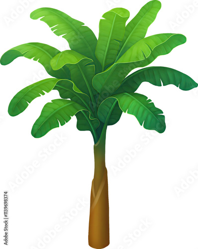 Stylized Banana palm isolated on a white background