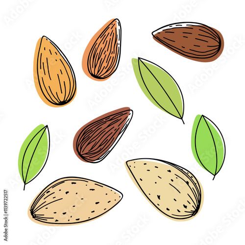 A set of different almond nuts with leaves hand-painted isolated on a white background, color illustration with outline. Decorative modern multicolored element for decoration, labels, design, flat 