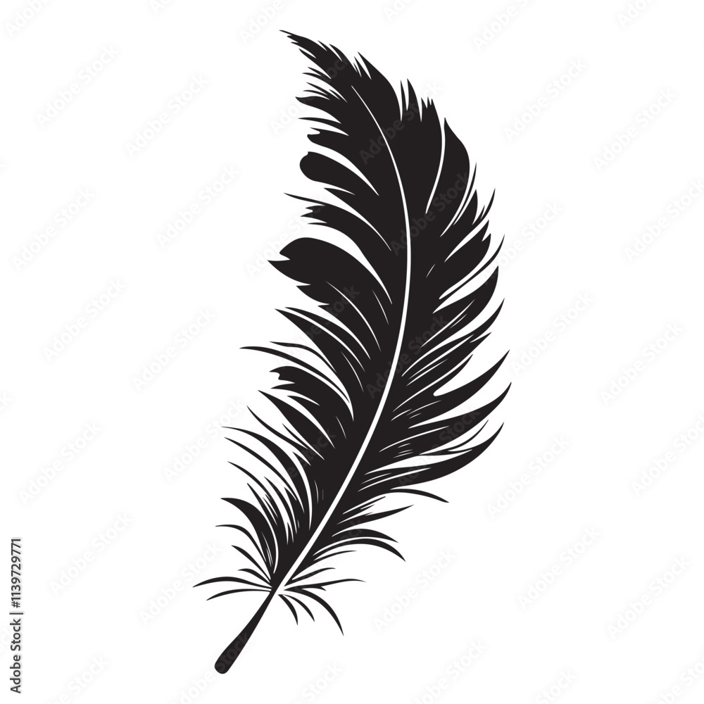 Feather icons vector. Bird feather silhouette illustration isolated on white background