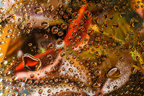 abstract background fall, glass drops autumn yellow leaves wet october weather