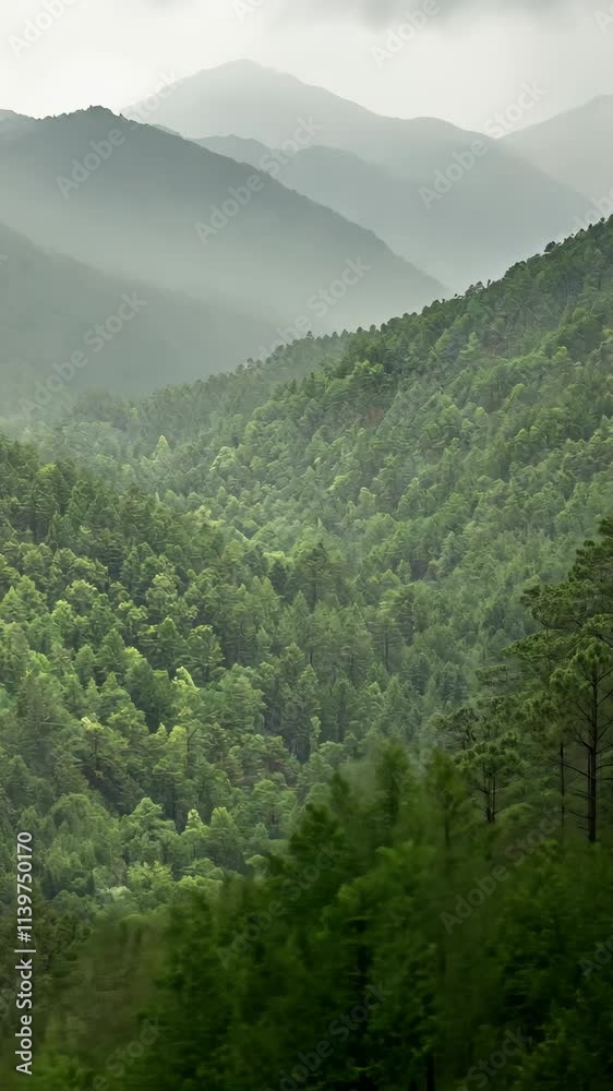 Lush green mountains under a soft misty sky during early morning hours in a tranquil valley Lush green mountains under a soft misty sky during early morning hours in a tranquil valley