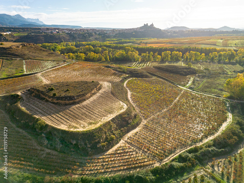 This aerial shot captures the undulating beauty of vineyards and hills, revealing intricate patterns of cultivated land amidst a peaceful and picturesque setting in La Rioja Spain photo