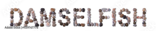 The word "DAMSELFISH" is lined with shells and stones of different shapes and colors on a transparent background. Types of fish and seafood, price tag, sea food, fish market, sea alphabet.