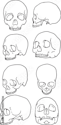 Set of skull Illustration, handdrawn vector image. Vector set