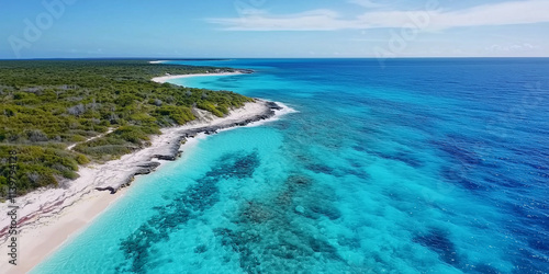 Captivating aerial perspective showcasing a lively coral reef and stunning turquoise ocean waters AIG62. Tranquil ocean shows colorful coral reefs under clear turquoise waters, creating a picturesque