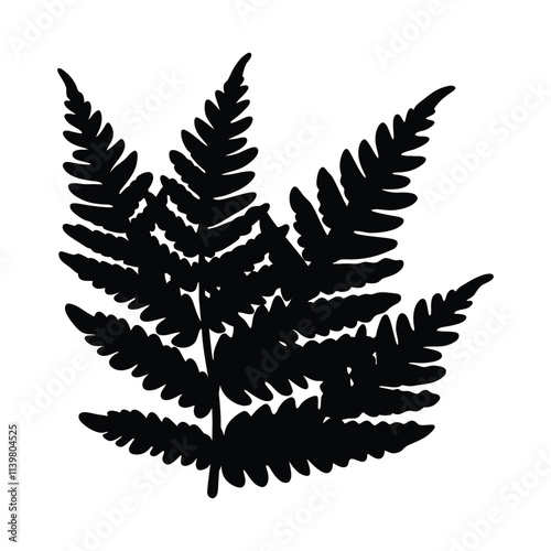 Fern leaf vector silhouette illustration isolated on a white background