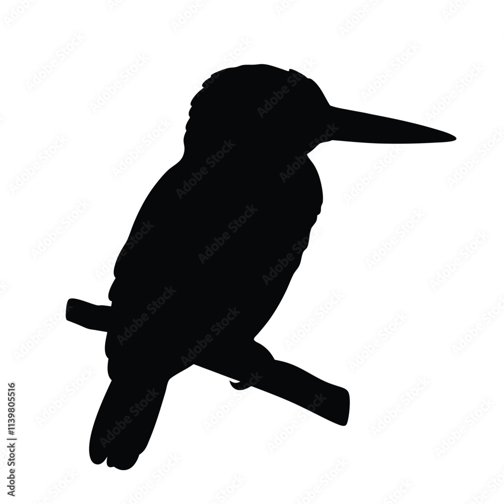 Obraz premium Kingfisher black silhouette illustration isolated on a white background