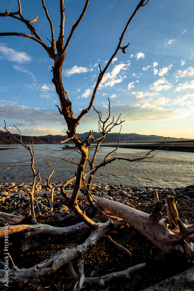 An eyecatching scene showcasing a barren tree silhouetted against serene waters beneath a vibrant sunset sky. An eyecatching scene showcasing a barren tree silhouetted against serene waters beneath a vibrant sunset sky.