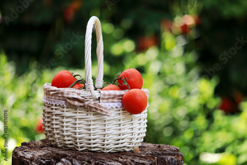 red tomatoes in a basket