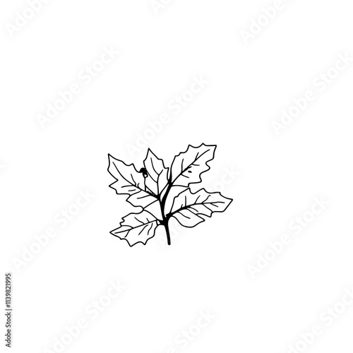 A holly sprig icon with several leaves, pointed edges and a few berries