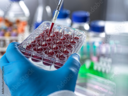 Haematology research photo