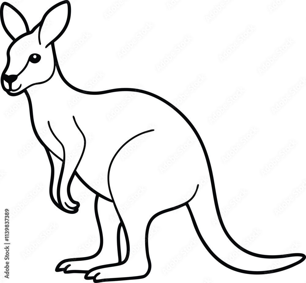 kangaroo vector illustration kangaroo vector illustration