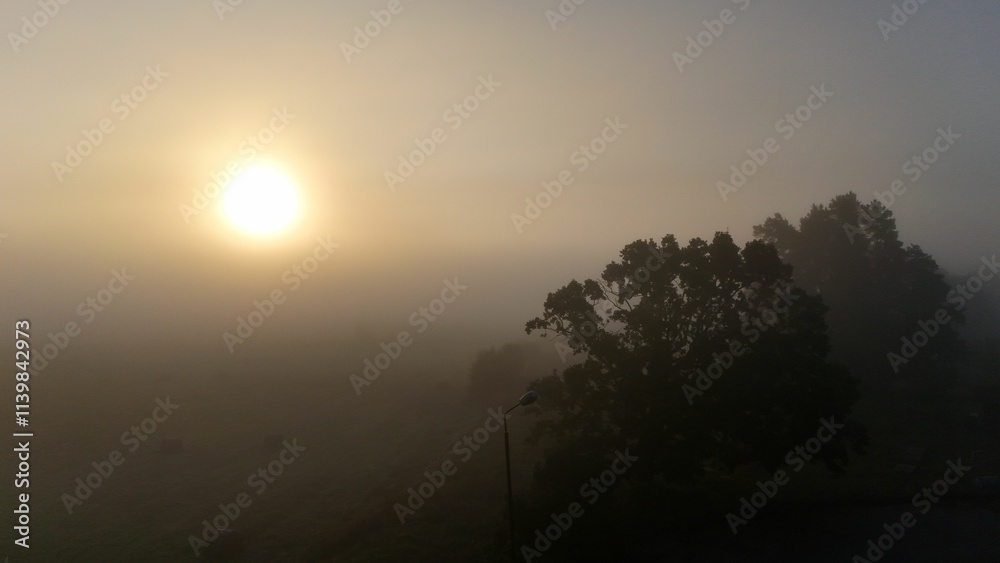Sunset landscape with fog Sunset landscape with fog