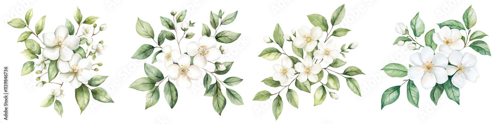 Fototapeta premium A collection of delicate white floral arrangements with lush green leaves, showcasing a variety of blooms and arrangements, white background, transparent background.