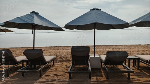 Sunbeds under tropical palms on beach in Bali, Indonesia photo