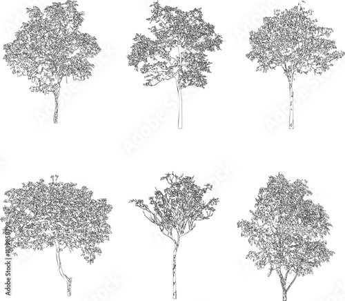 Collection Trees green leaves and some with yellow flowers. total 12 tree line drawing, symbol for architecture and landscape design drawing. Vector illustration in stroke fill in white. Tropical