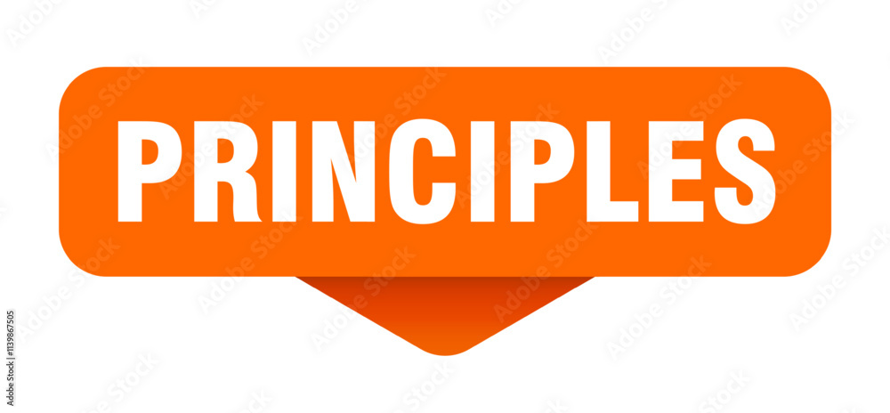 PRINCIPLES button, sticker, sign PRINCIPLES button, sticker, sign