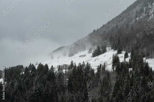 Snow covered hut in a snow storm in the mountains