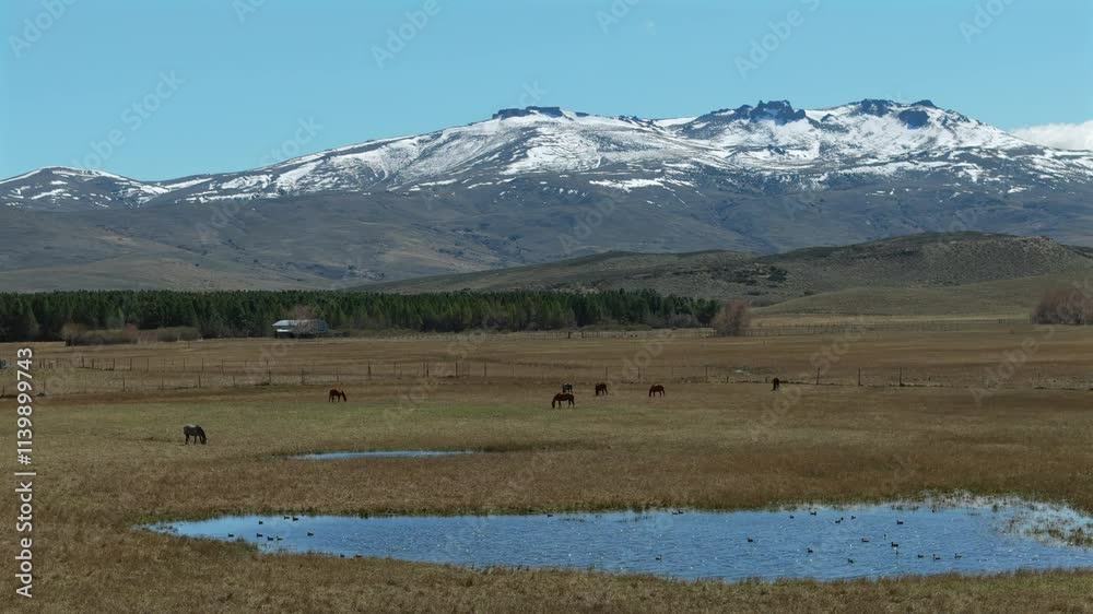 Aerial view of horses grazing near lake and snow-capped Los Andes mountain range. Neuquén, Patagonia, Argentina Aerial view of horses grazing near lake and snow-capped Los Andes mountain range. Neuquén, Patagonia, Argentina