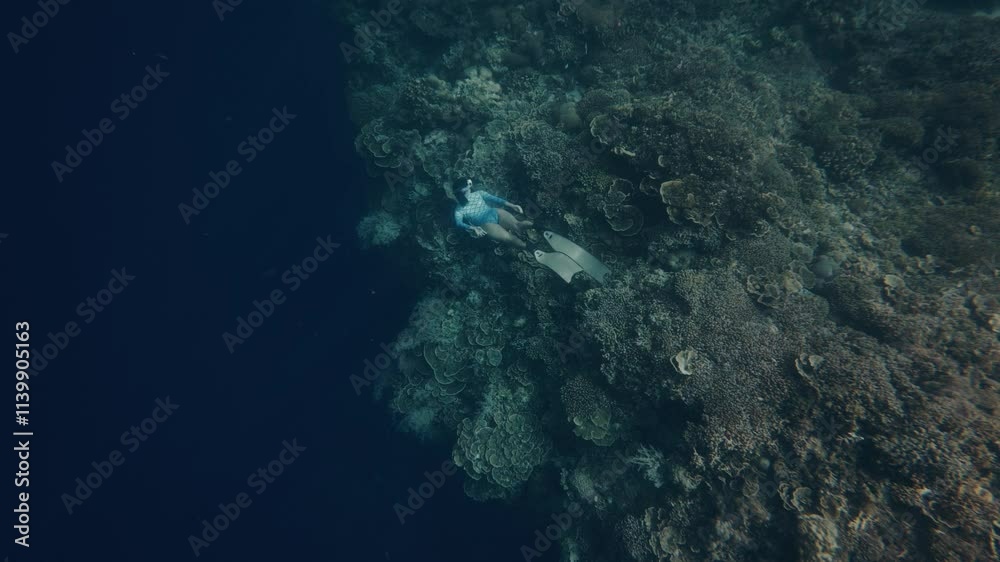 Solo girl diving along a deep coral reef shelf in blue water, slow motion underwater serenity as light ray trickles Solo girl diving along a deep coral reef shelf in blue water, slow motion underwater serenity as light ray trickles