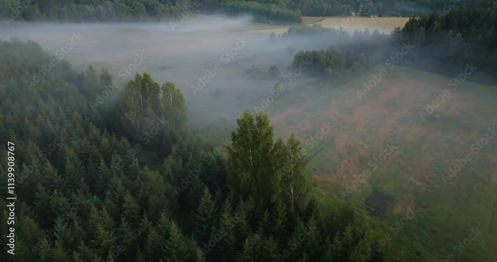 Aerial view around a foggy field on the countryside, gloomy evening in Scandinavia Aerial view around a foggy field on the countryside, gloomy evening in Scandinavia