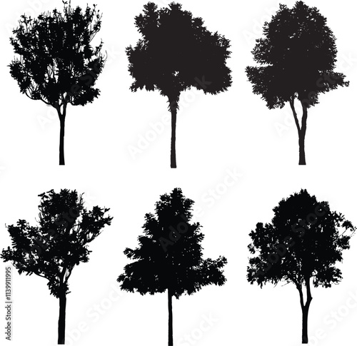 Collection Trees and bonsai green leaves. total 14 trees. (png)