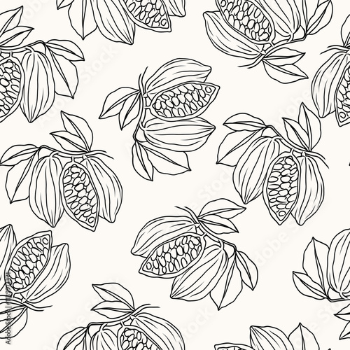 Hand drawn cacao branch background