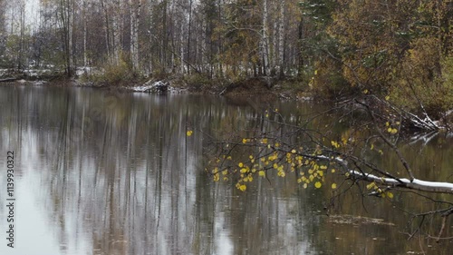 Forest Lake