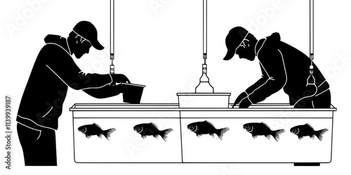 Individual preparing a separate tank to raise fish fry after successful breeding, Illustration