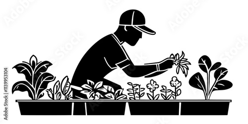 A gardener fertilizing the plants growing in multiple raised beds in a home garden, Vector Graphic