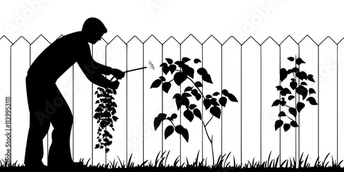 A gardener fertilizing the soil of a vertical garden installed on a backyard fence, Vector Graphic