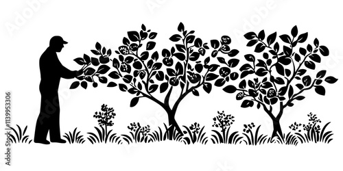 Gardener pruning the branches of fruit trees in a small backyard orchard, Vector Graphic