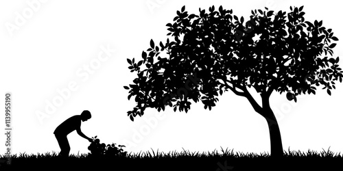 Person picking ripe fruit from the lower branches of a large backyard tree, Vector Graphic