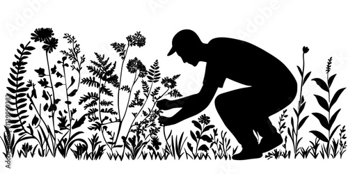 Man organizing native plant species to form a natural garden border, Vector Graphic
