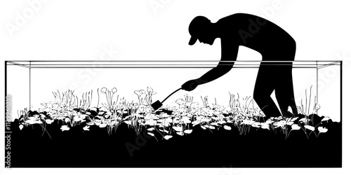 Person replacing substrate to support root development in a planted aquarium, Vector Graphic
