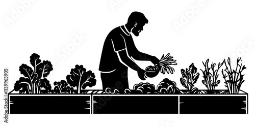 A gardener harvesting vegetables from raised beds in a backyard garden in the late afternoon, Digital Art