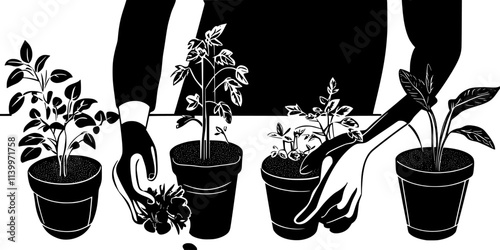 Someone transplanting seedlings into decorative containers in a small backyard garden, Digital Art