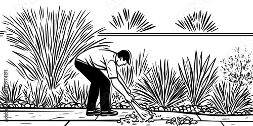 Gardener clearing debris from a xeriscaped garden beside a concrete driveway, Vectorized Art