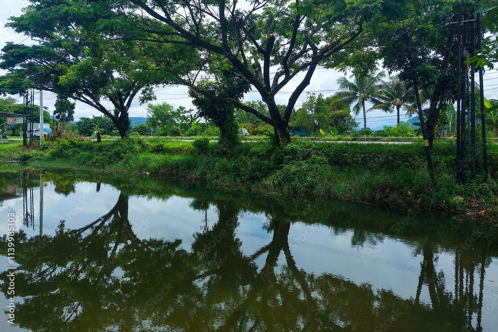 The trees on the edge of the lake cast shadows in the morning The trees on the edge of the lake cast shadows in the morning