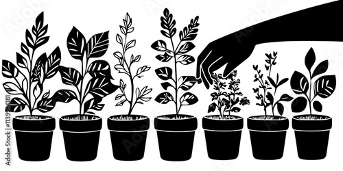 Someone transplanting seedlings into decorative containers in a small backyard garden, Vectorized Art