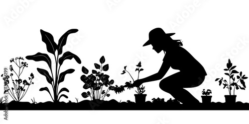 Someone weeding the rows between vegetable plants in a small backyard garden, Vectorized Art