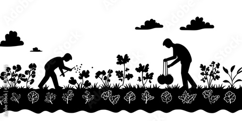 Individual fertilizing rows of vegetables growing in a large outdoor garden, Illustration