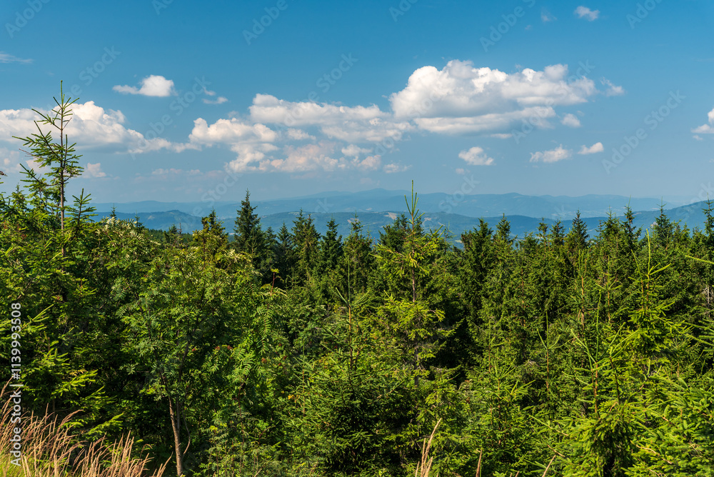 Fototapeta premium Moravskoslezske Beskydy mountains from Skrzyczne hill in Beskid Slaski mountains in Poland