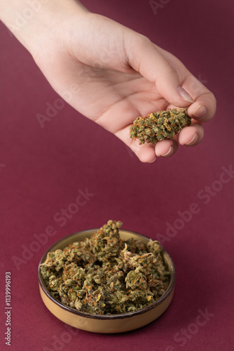 in a woman's hand a dry bud of medical marijuana, in a bowl nearby a number of cannabis flowers on a dark red background