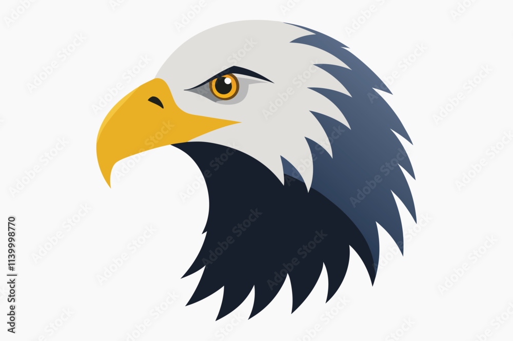 Fototapeta premium american bald eagle head.