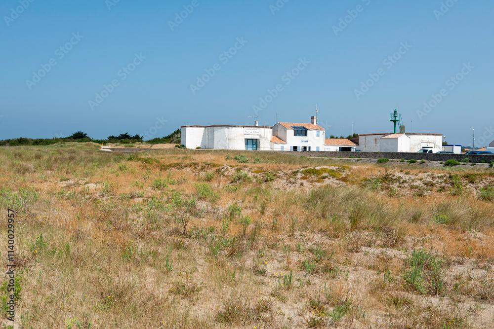 zone de protection, Gravelot à collier interrompu, Pluvier à collier interrompu,.Charadrius alexandrinus, Kentish Plover, Ile de Noirmoutier, 85, Vendée, France zone de protection, Gravelot à collier interrompu, Pluvier à collier interrompu,.Charadrius alexandrinus, Kentish Plover, Ile de Noirmoutier, 85, Vendée, France